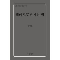 [서정시학]헤테로토피아의 밤 - 서정시학 비평선 42 (양장), 9791192580517, 김정현