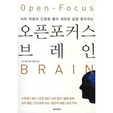 오픈포커스 브레인:뇌와 마음의 긴장을 풀어 새로운 삶을 창조하는, 정신세계사, 레스 페미 저/이재석 역