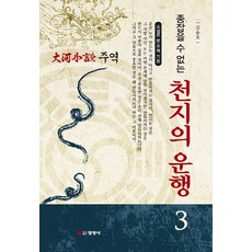 주역 3: 종잡을 수 없는 천지의 운행:소설로 본 주역의 기초 | 대하소설, 선영사, 김승호 저