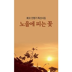 노을에 피는 꽃, 댕글, 상세 설명 참조