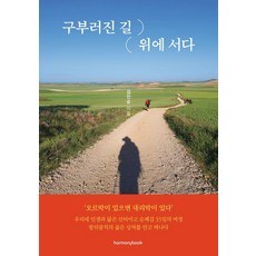 在彎曲的路上站立:與我們人生相似的聖地牙哥朝聖之路35天的旅程, 和諧書, 金仁順