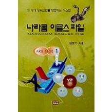 나라콤 이글스 파일, 한누리미디어, 김영기