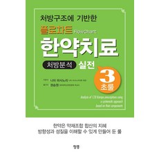 플로차트 한약치료 처방분석 실전 3초룰, 청홍, 니미 마사노리