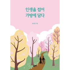 인생을 접어 가방에 담다, 좋은땅, 윤광일