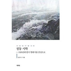 정동 시학 : 1920년대 한국 현대시를 중심으로 - 이화연구총서 34 (양장), 역락, 김민지