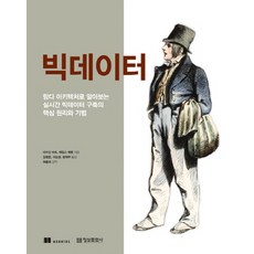 빅데이터:람다 아키텍처로 알아보는 실시간 빅데이터 구축의 핵심 원리와 기법, 정보문화사