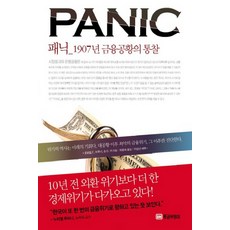 패닉: 1907년 금융공황의 통찰, 황금부엉이, 로버트 F.브루너,숀 D.카 공저/하윤숙 역/이상...
