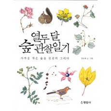Hyeonamsa 十二個月森林觀察日記：慢慢描繪附近的小森林, 姜恩熙 文,圖