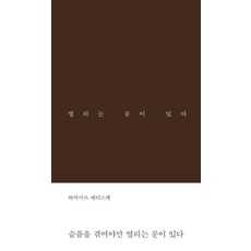 슬픔을 겪어야만 열리는 문이 있다 (양장), 북플랫, 와카마쓰 에이스케