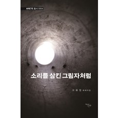 소리를 삼킨 그림자처럼:오유정 에세이집, 천년의시작, 오유정 저