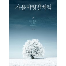 가을서릿발처럼:고난 속에서 사람은 깊어진다, 청아출판사, 김영 저