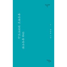 바다색이 넘실거리는 길을 따라가면:정관웅 시집, 천년의시작, 정관웅 저