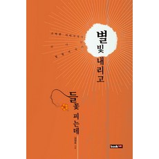 별빛 내리고 들꽃 피는데:소박한 이야기에서 만나는 힐링에세이, 북랩, 김정호 저