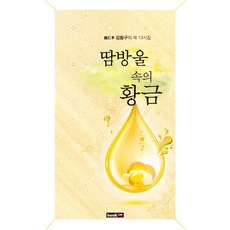 땀방울 속의 황금:정인양 김훤구의 제13 시집, 북랩, 김훤구 저