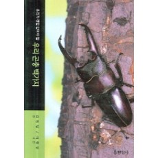 우리 곤충 백가지 (개정판)-우리가 정말 알아야 할, 현암사, 김진일 글/이원규 사진