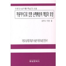 자동차사고로 인한 손해배상의 책임과 보상:이론과 실무를 폭넓게 서술, 법문북스, 박영민 저