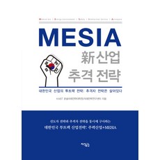 MESIA 신사업 추격 전략:대한민국 산업의 투트랙 전략 추격자 전략은 살아있다, 지식공감