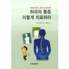 허리의 통증 이렇게 치료하라:MAGGIE S Back Book, 지성문화사, 매기 레트빈 저/이일남 역