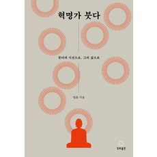 혁명가 붓다 : 붓다의 시선으로 그의 삶으로, 정토출판