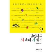 김완하의 시 속의 시 읽기 9, 시와정신사, 김완하