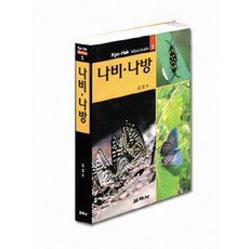 나비 나방, 교학사, 김성수