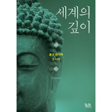 세계의 깊이:불교 읽기와 그 너머, 궁리