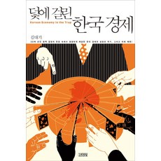 Gimmyoung 陷入陷阱的韓國經濟, 金大棋 著