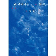 내 주머니는 맑고 강풍, 핀드, 최진영 핀드, 최진영