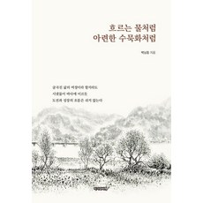 Jakgawabipyeong 如流水般朦朧 如水墨畫般, 白南興