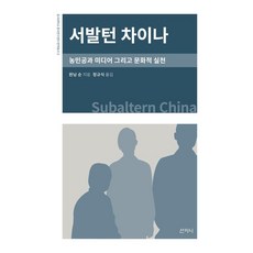 서발턴 차이나:농민공과 미디어 그리고 문화적 실천, 서발턴 차이나, 완닝 순(저) / 정규식(역), 산지니, 완닝 순