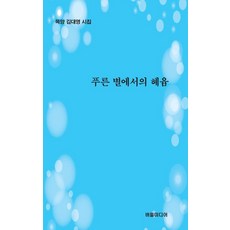 BeoDeulMiDiEo 藍色星球的遐想：牧羊金大永詩集, 金大永