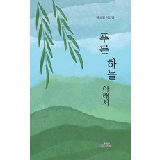 푸른하늘 아래서:백성일 시선집, 지식나무, 백성일