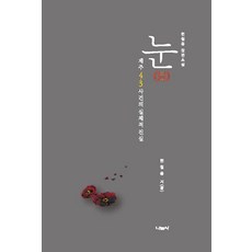 [나눔사]눈(目) : 제주 4·3 사건의 실체적 진실, 나눔사, 한철용