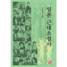 somyong 日本近代小說史, 安藤宏
