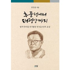 추풍령에서 태평양까지:법치주의를 추구했던 한 법조인의 초상, 나남, 김인섭