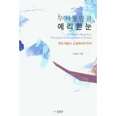 Dongin 令人畏懼的銳利之眼： 亨利·詹姆斯小說中的認知 (精裝), 羅喜京