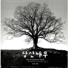 堂山樹：吳相祚攝影集, 目光, 吳相祚