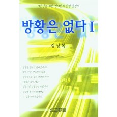 방황은 없다 1:새천년을 위한 현대인의 신앙 길잡이, 선교횃불, 김상복