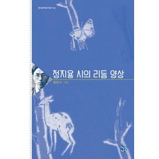 정지용 시의 리듬 양상 - 한국문학연구총서 3 (양장), 청동거울, 정민나