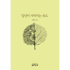 당신이 사라지는 속도, 움직이는책, 김태익