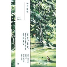 녹색 광선:강석희 장편소설, 돌베개, 강석희