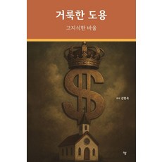 거룩한 도용 : 고지식한 바울, 하움출판사, 김향욱