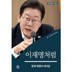 SaenggakUigil 像李在明一樣：解決問題的領導力, 共同民主全國革新會議 著