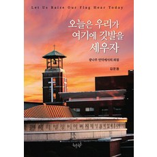 오늘은 우리가 여기에 깃발을 세우자:광나루 언덕에서의 외침, 김운용 저, 하늘향