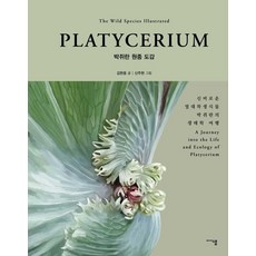 박쥐란 원종 도감 PLATYCERIUM:신비로운 열대착생식물 박쥐란의 생태학 여행, 미디어샘, 김현웅 미디어샘, 김현웅