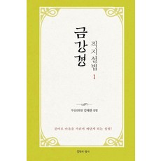 금강경 직지설법 1:곧바로 마음을 가리켜 깨닫게 하는 설법!, 침묵의향기, 김태완