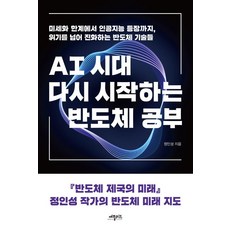AI시대 다시 시작하는 반도체 공부, 애플씨드, 정인성