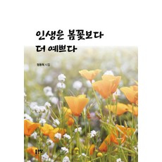 인생은 봄꽃보다 더 예쁘다, 좋은땅, 정동혁