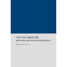 사사기 룻기 풀어쓴 성경:원문의 음성을 오늘의 목소리로 살려낸 번역과 메시지, 감은사, 강산