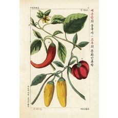 매운맛의 중국사: 고추의 문화인류학, 마르코폴로, 차오위